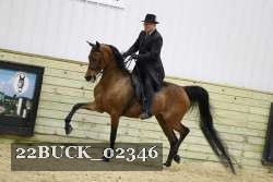22BUCK_02346 proof