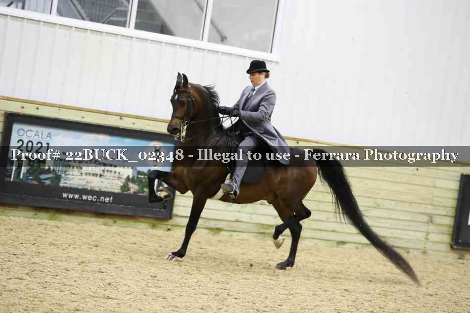 Proof 22BUCK_02348