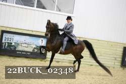 22BUCK_02348 proof