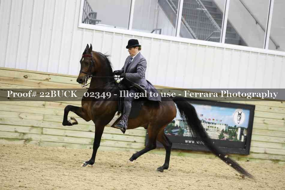 Proof 22BUCK_02349