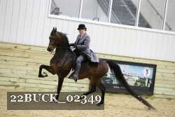 22BUCK_02349 proof