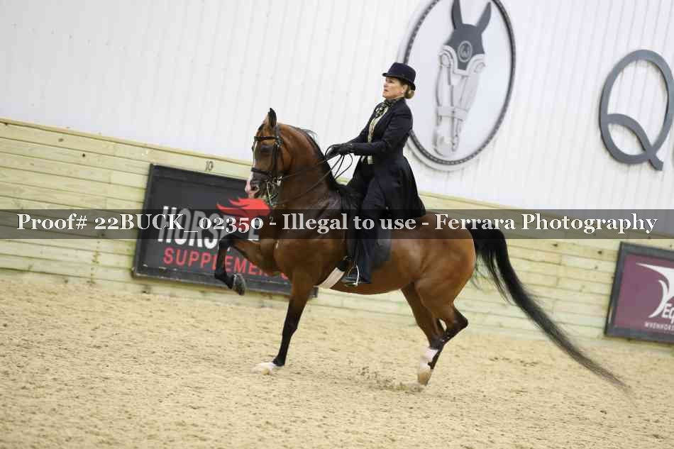Proof 22BUCK_02350