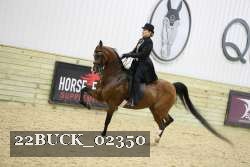 22BUCK_02350 proof