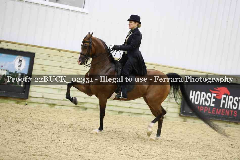 Proof 22BUCK_02351