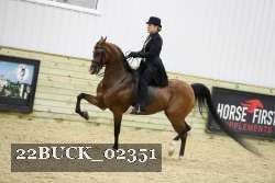 22BUCK_02351 proof