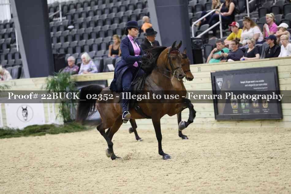 Proof 22BUCK_02352