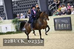 22BUCK_02352 proof