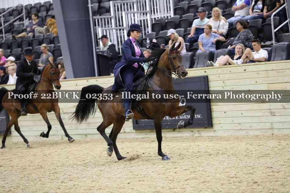 Proof 22BUCK_02353