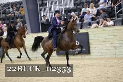 22BUCK_02353 proof