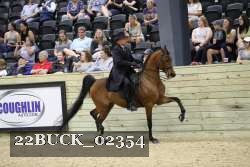 22BUCK_02354 proof