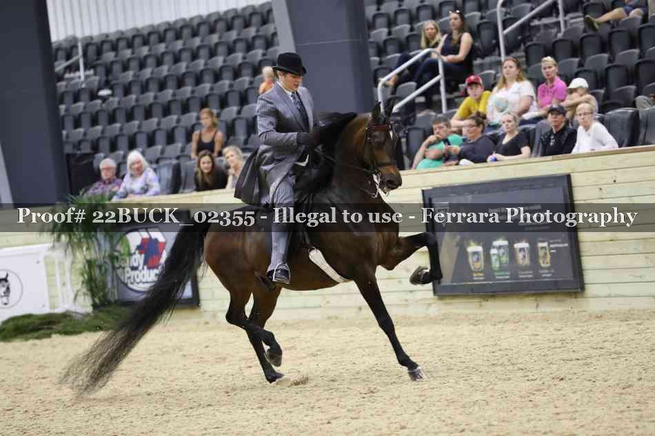 Proof 22BUCK_02355