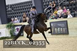 22BUCK_02355 proof
