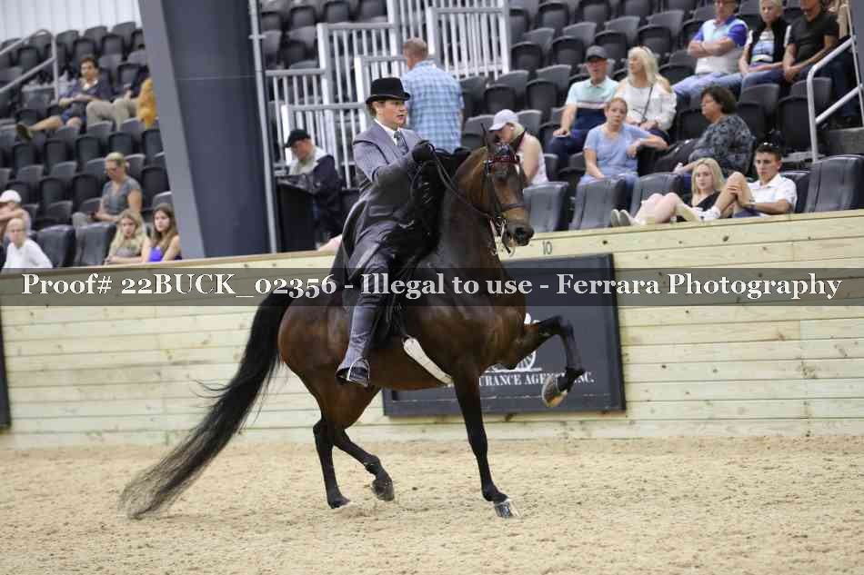 Proof 22BUCK_02356