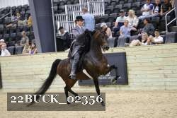 22BUCK_02356 proof