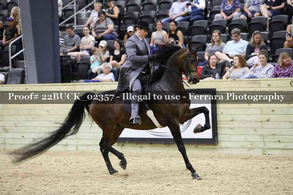 Proof 22BUCK_02357