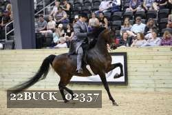 22BUCK_02357 proof