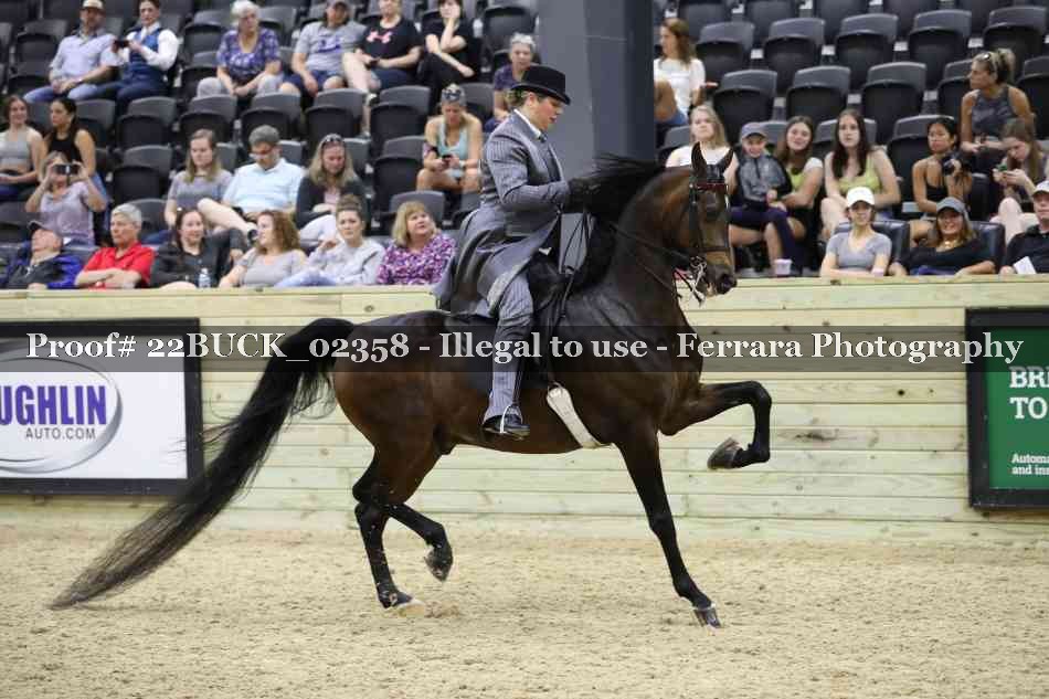 Proof 22BUCK_02358