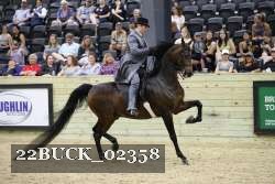 22BUCK_02358 proof