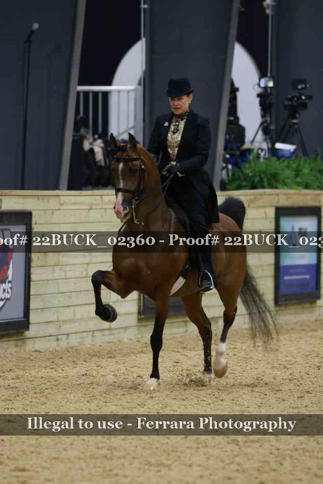 Proof 22BUCK_02360