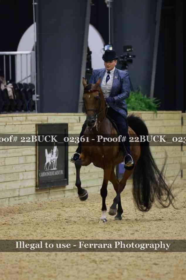 Proof 22BUCK_02361