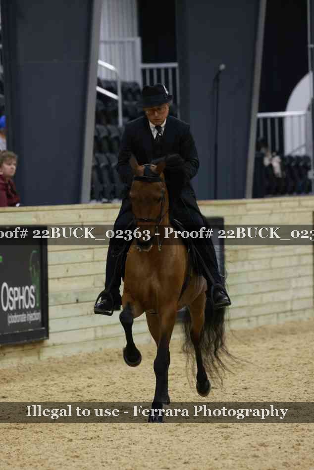 Proof 22BUCK_02363