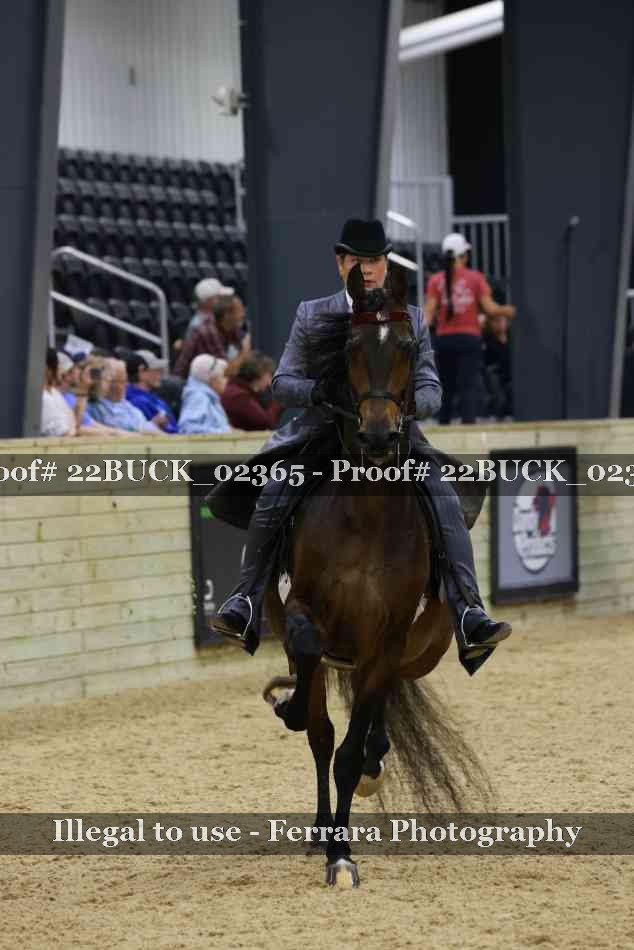 Proof 22BUCK_02365