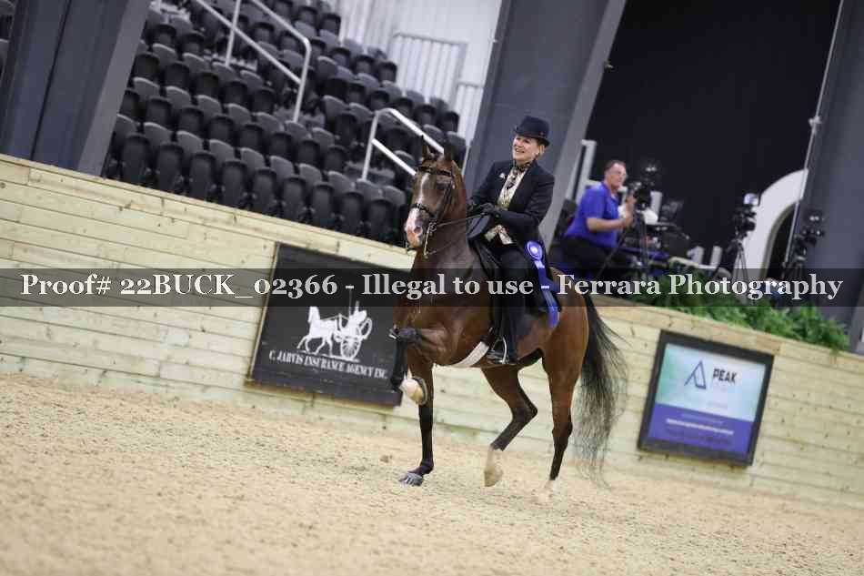 Proof 22BUCK_02366