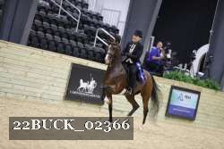22BUCK_02366 proof