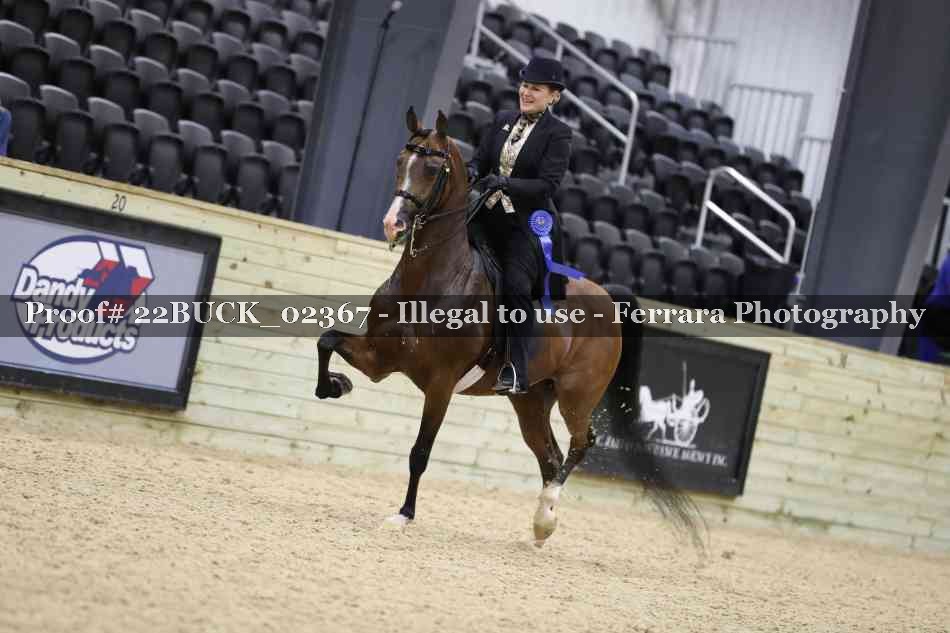 Proof 22BUCK_02367