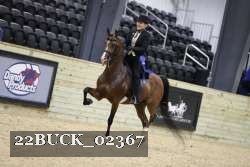 22BUCK_02367 proof