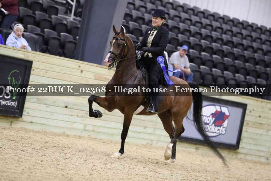Proof 22BUCK_02368