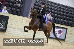 22BUCK_02368 proof