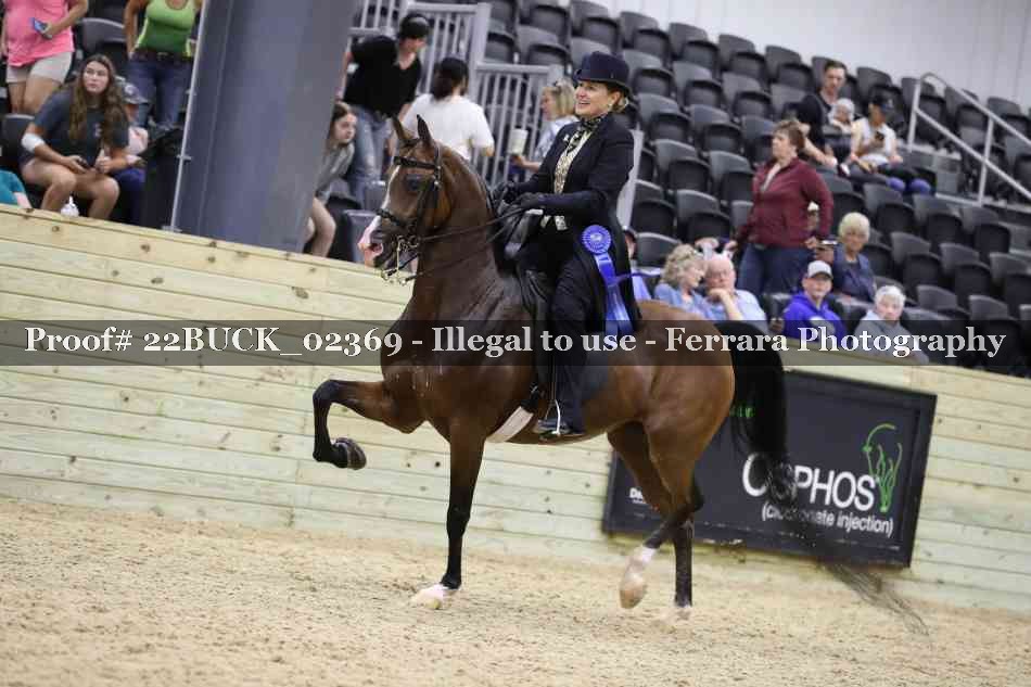 Proof 22BUCK_02369