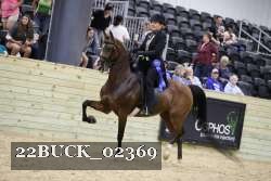 22BUCK_02369 proof
