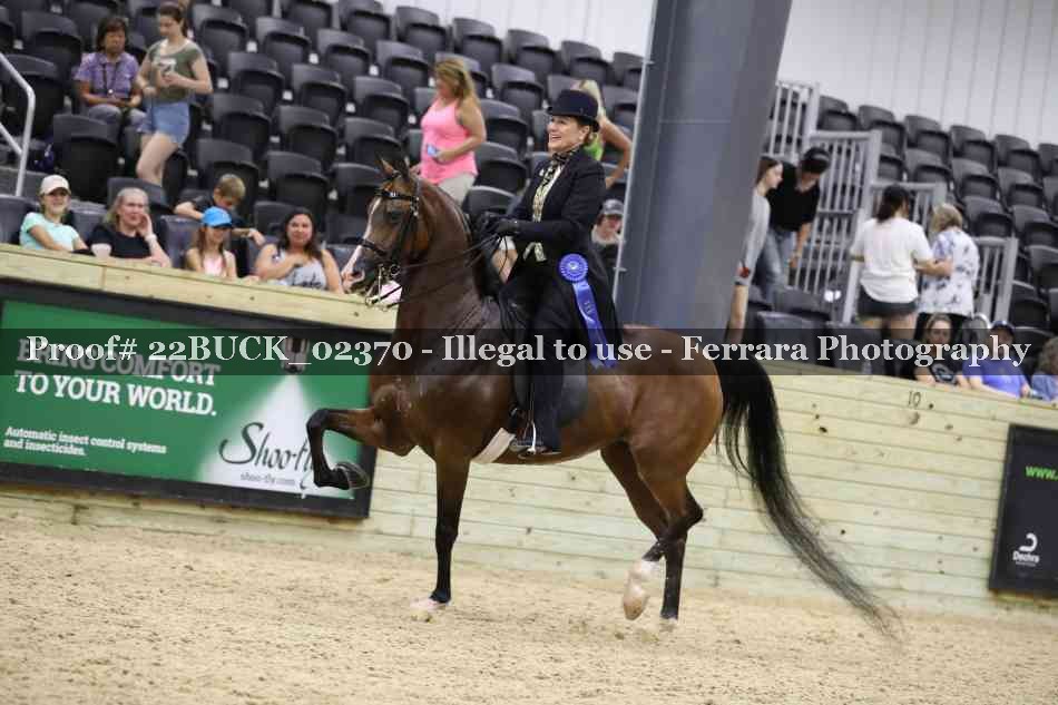 Proof 22BUCK_02370
