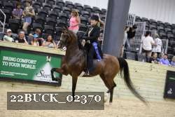 22BUCK_02370 proof