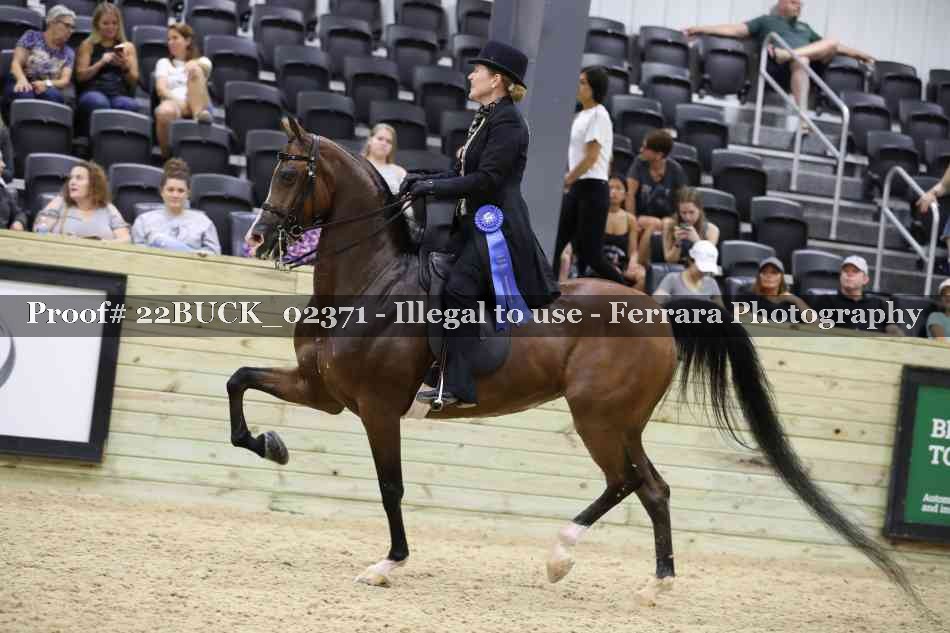 Proof 22BUCK_02371