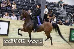 22BUCK_02371 proof