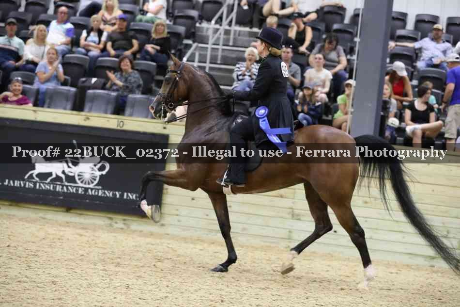 Proof 22BUCK_02372