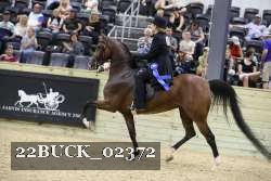 22BUCK_02372 proof