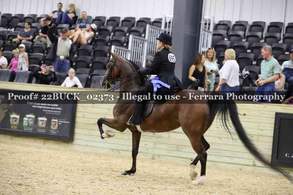 Proof 22BUCK_02373