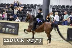 22BUCK_02373 proof