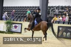 22BUCK_02374 proof