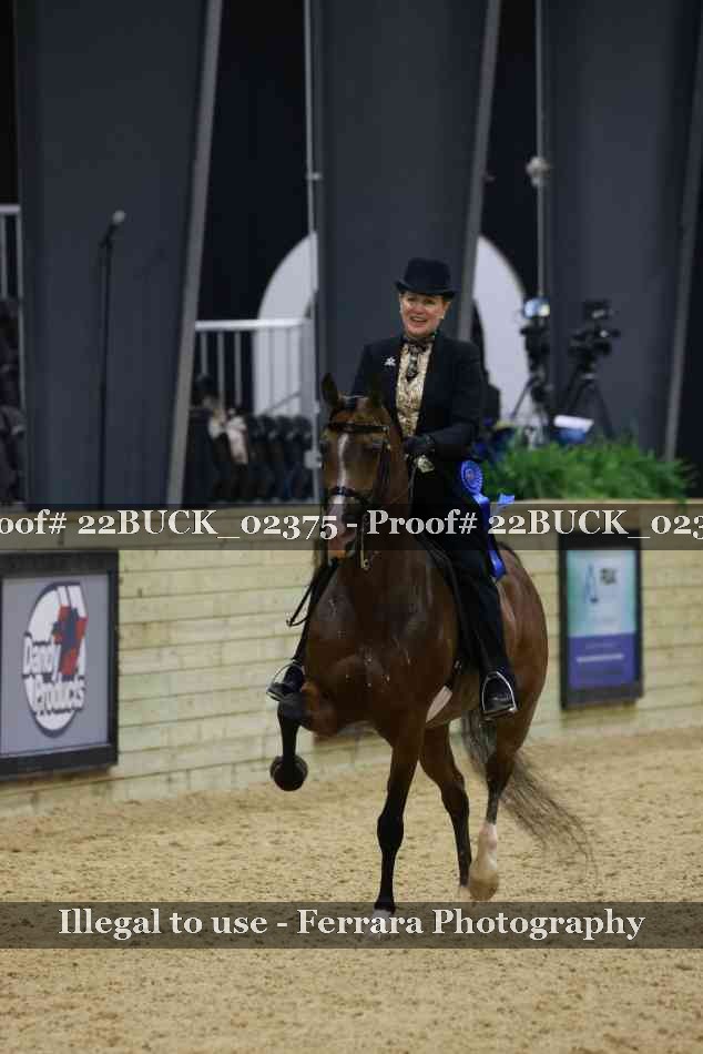 Proof 22BUCK_02375