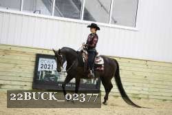 22BUCK_02377 proof