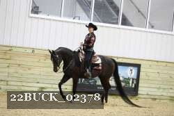 22BUCK_02378 proof