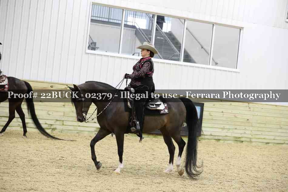 Proof 22BUCK_02379