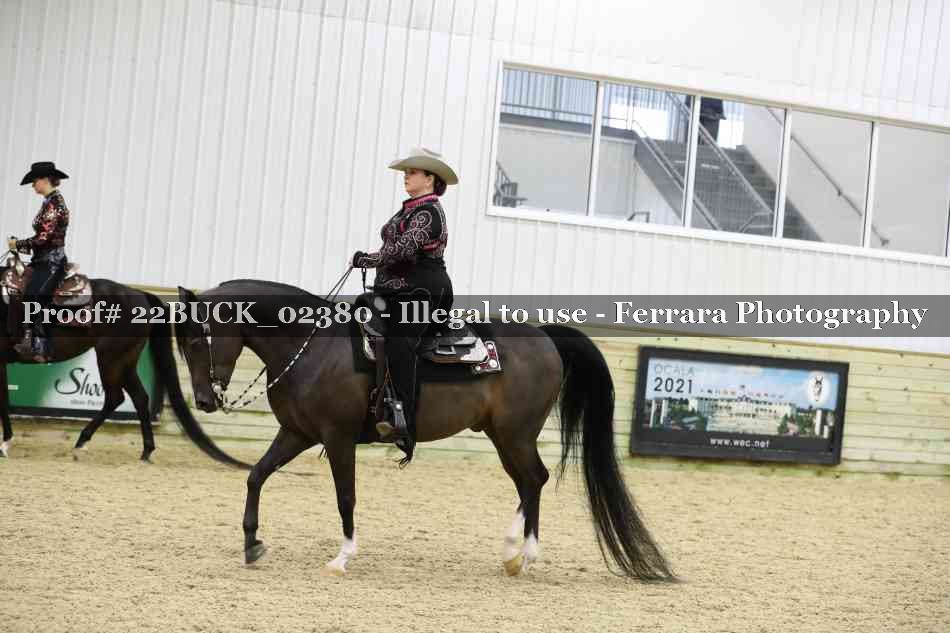 Proof 22BUCK_02380