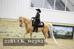 22BUCK_02382 proof
