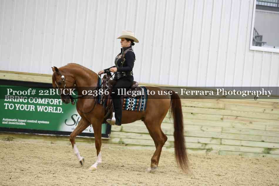 Proof 22BUCK_02386